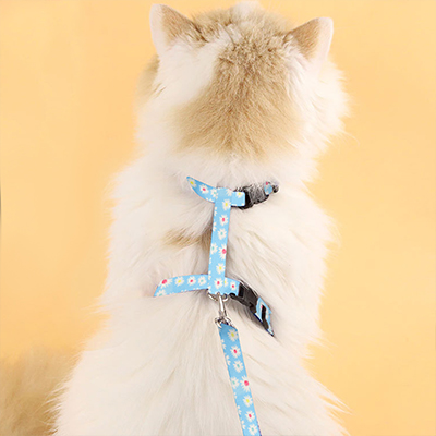 Polyester-Webbing-for-pets